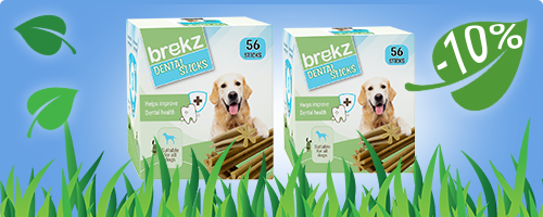 NEU: Brekz Dental Sticks für Ihren Hund